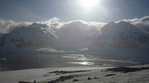 Local food eaten in Antarctica